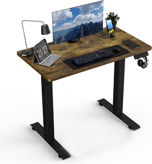 35 * 20 Electric Standing Desk, Adjustable Height Sit Stand Up Desk, Motorized Home Office Computer Gaming Workstation Desk