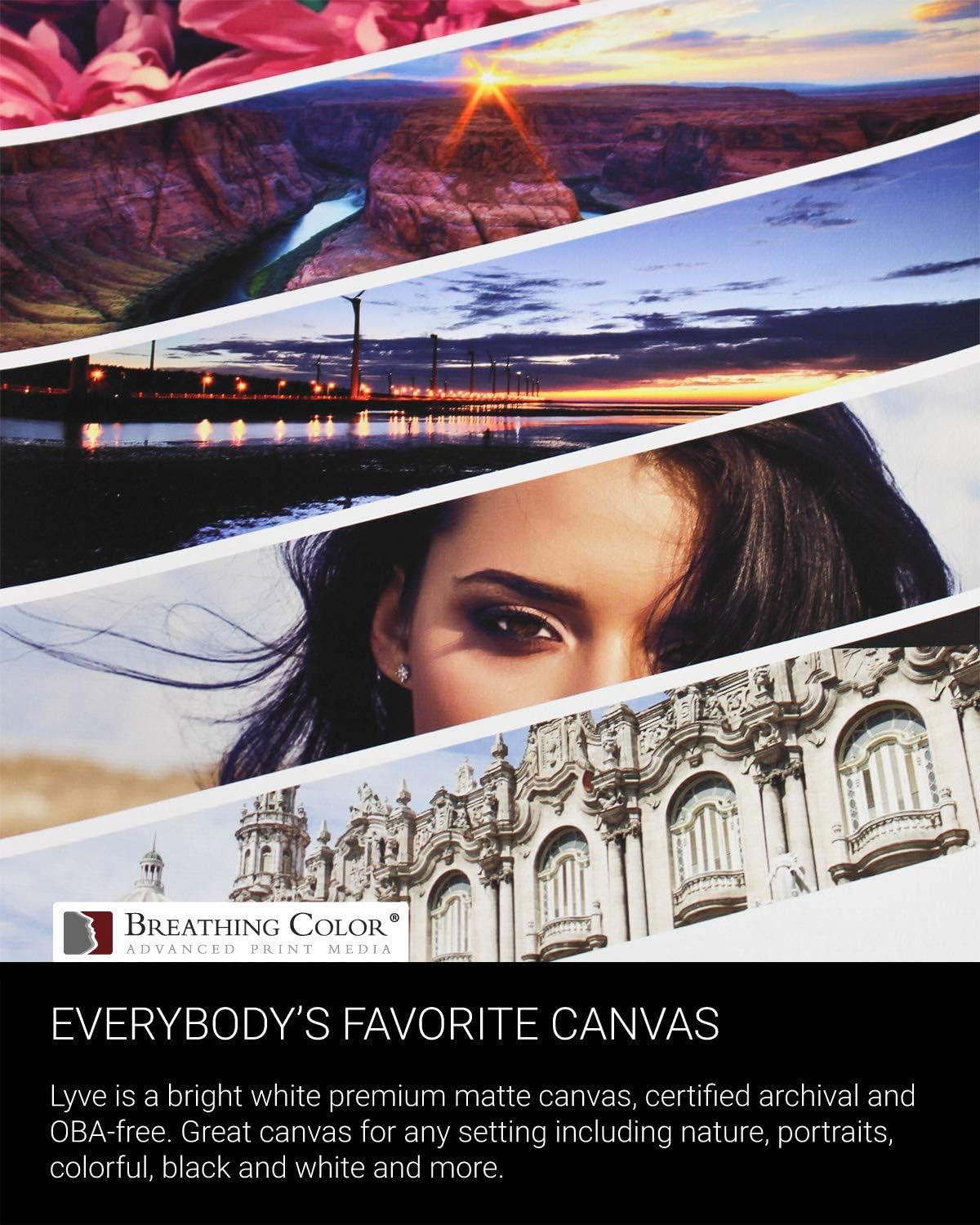 Premium Lyve Matte Canvas Paper Perfect For Use on Professional Makes and Models of Epson, Canon and HP printers preferred by Professionals. 19 mil textured Canvas offered in a 42 inch by 40 ft roll