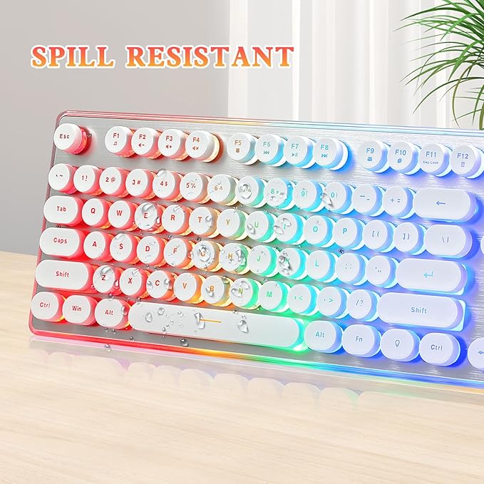 Typewriter Style Keyboard with Metal Panel, Rainbow LED Backlit, Round Keys, Anti-ghosting, Spill Resistant, Light Up USB Wired Retro 104 Keys for Office/Gaming, White/Silver