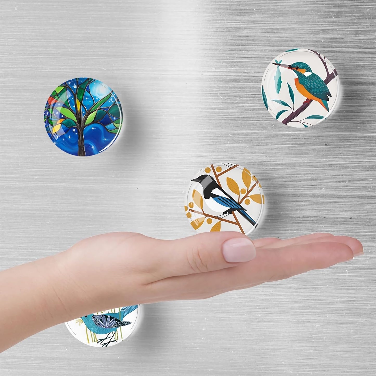 12Pcs Glass Refrigerator Magnet Fridge Sticker,Bird Fridge Magnets Decoration for Crafts,Strong Fridge Magnets for Kitchen, School,Office Whiteboard, Cabinet and Dishwasher