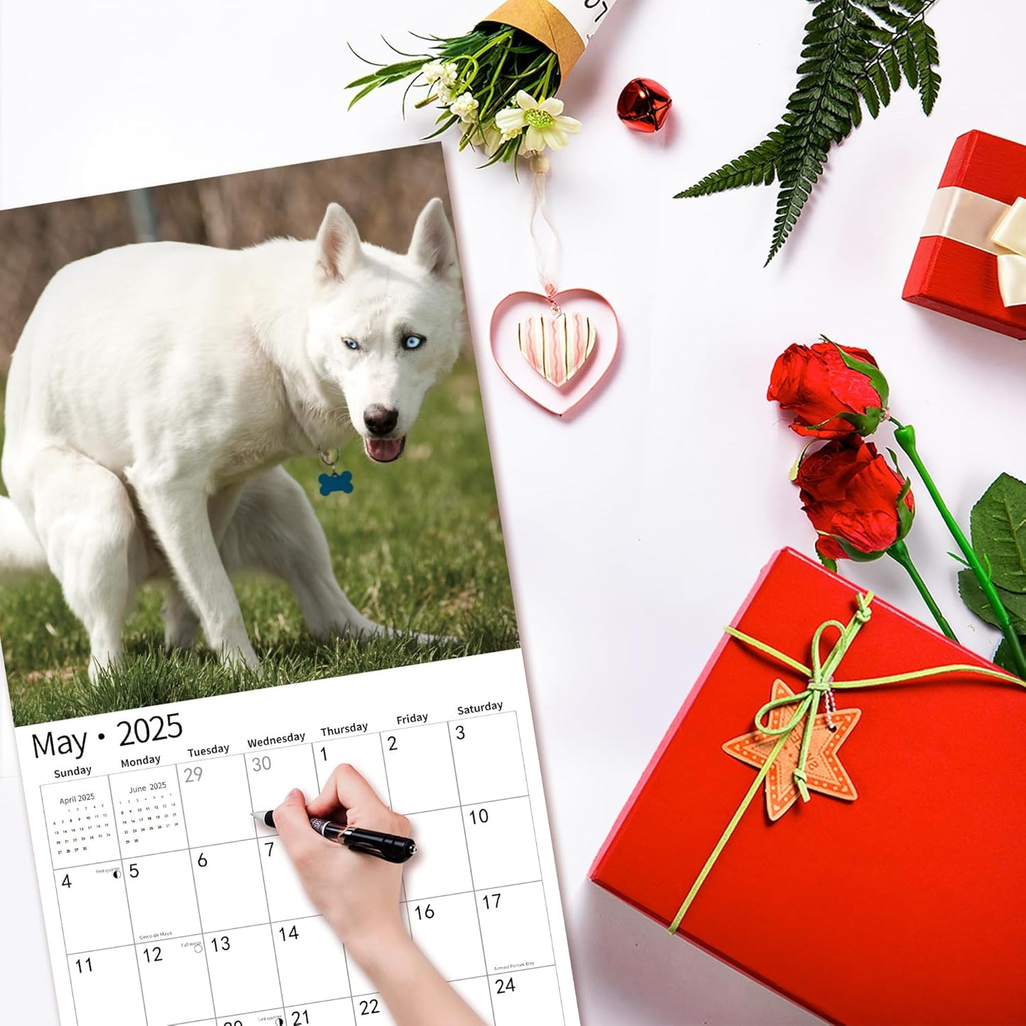 Gag Gift 2025 Wall Calendar, Funny White Elephants Funny Pooping Dogs Calendar 2025,12 Monthly Calendar, January 2025 - December 2025, 12" x 24" Opened Full Page Thick & Sturdy Paper for Organizing