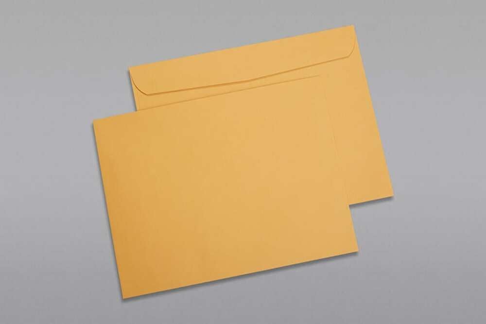 Limited Papers (TM) Booklet Envelopes, (Open Side) Brown Kraft, Gummed Seal, 28 Pound, Heavyweight, For Mailing And More. (1000, 10 x 15)