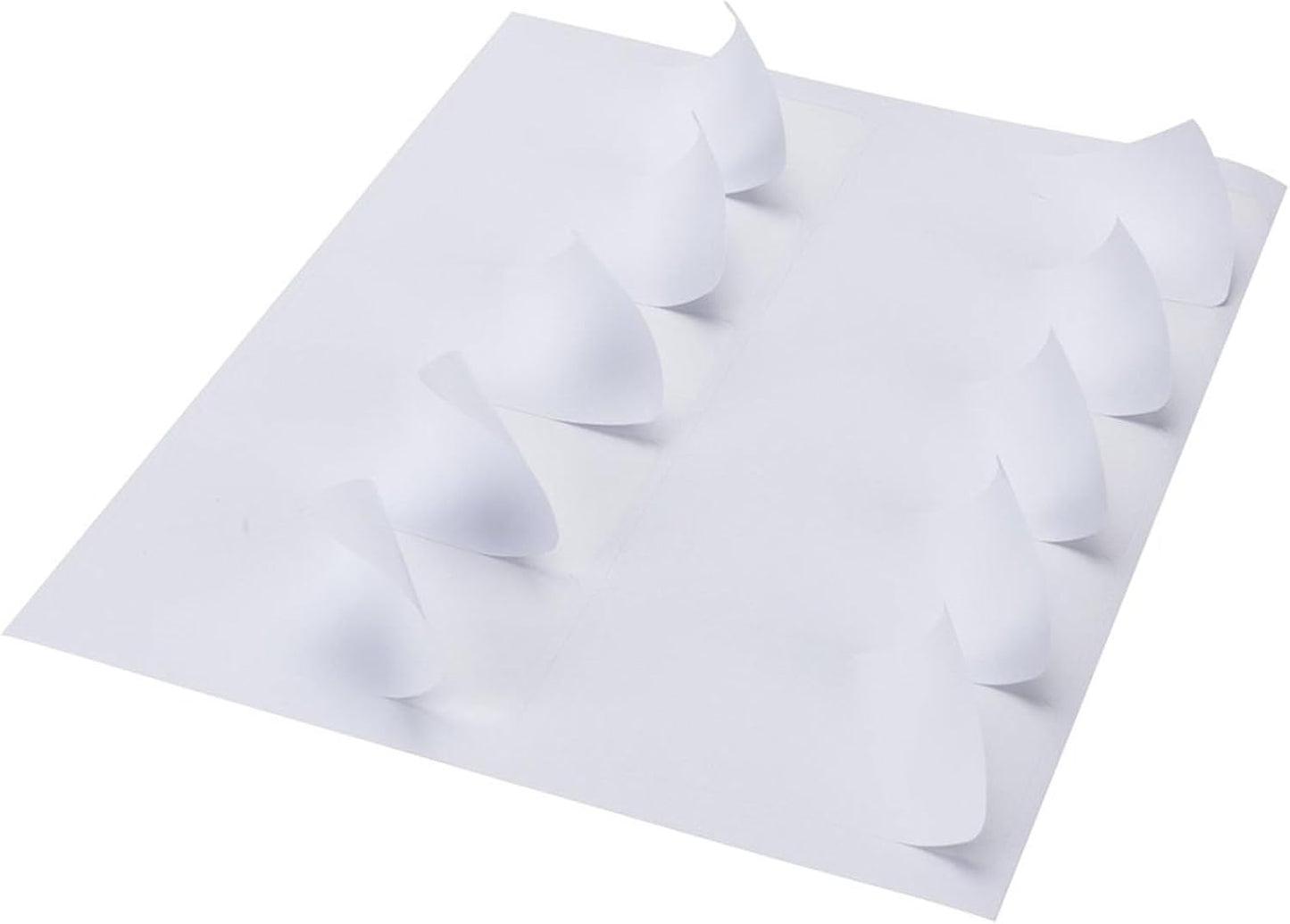 2"x4" Shipping Address Labels, FBA 10 Up Address mailing Labels, White Sticker Address Labels for Laser/Inkjet Printer (100 Sheets, 1000 Labels)