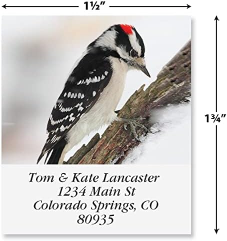 Colorful Images Birds of North America Return Address Mailing Labels, Personalize with Name & Addresses, Set of 144 Self Adhesive, Easy Peel Flat Label Sheets, 1 ½ x 1 ¾”, 24 Designs