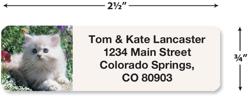 Cute Kittens Rolled Personalized Return Address Mailing Labels with Dispenser, Set of 500, 5 Designs, Small ¾ x 2½ Inch Size, Custom Self-Adhesive Sticker Roll, by Colorful Images