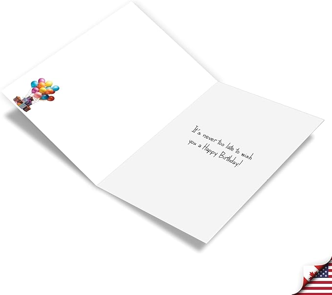 NobleWorks, Funny Birthday Paper Card with 5 x 7 Inch Envelope (1 Card) Bday Sister, Never Too Late Woman C10789BDG