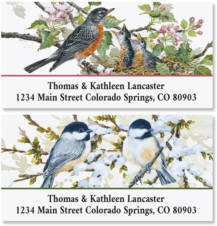 Colorful Images Garden Friends Birds Return Address Mailing Labels, Personalize with Name & Addresses, Set of 144 Self Adhesive, Easy Peel Flat Label Sheets, 1 ⅛ x 2 ¼”, 6 Designs