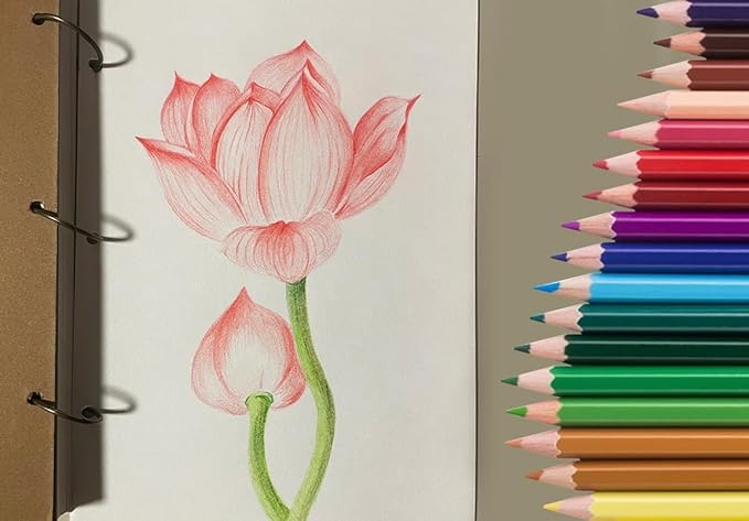 SKKSTATIONERY 50Pcs Colored Pencils,50 Vibrant Colors, Drawing Pencils for Sketch, Arts, Coloring Books, Back to school Christmas Halloween Gifts