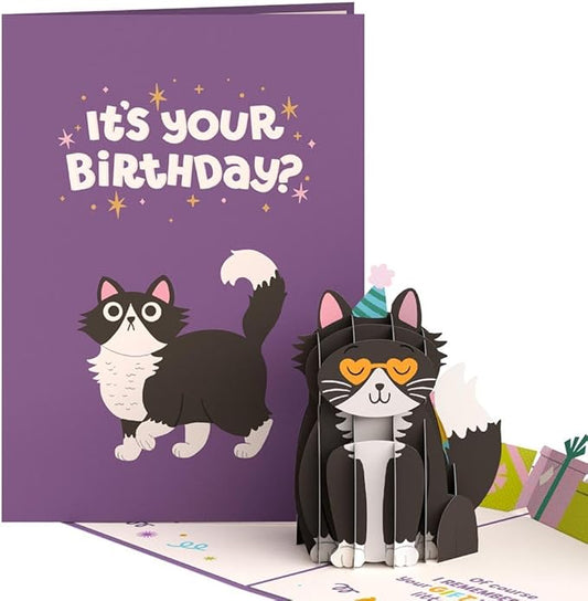 Lovepop Happy Birthday Pop-Up Card for Her and Him- 3D Greeting Cards for Boys, Girls, Men, Women - Your Gift Is in the Litterbox - 5" x 7" Cat Card - Blank Note Card & Envelope Included