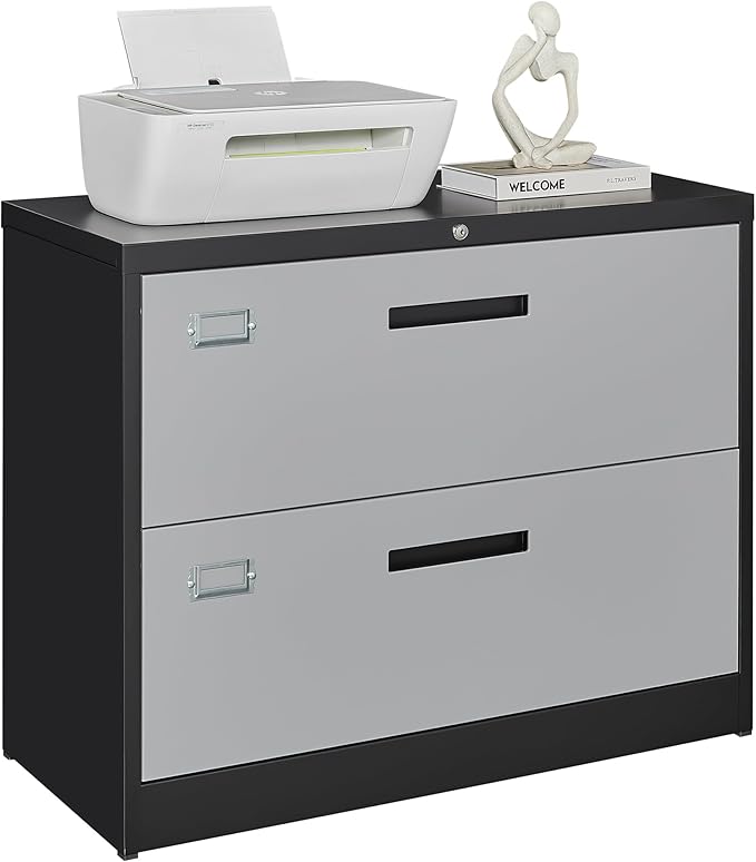 Letaya File Cabinet with Lock-Lateral 2 Drawer Metal Filing Cabinets-Organization Storage Cabinets for Home Office-Hanging Letter/Legal/F4/A4 Size (2 Drawer-Grey Black)