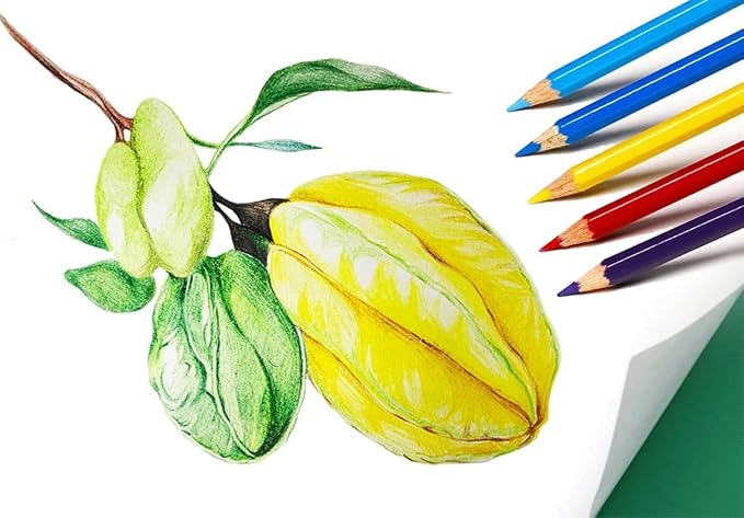 SKKSTATIONERY 50Pcs Colored Pencils,50 Vibrant Colors, Drawing Pencils for Sketch, Arts, Coloring Books, Back to school Christmas Halloween Gifts