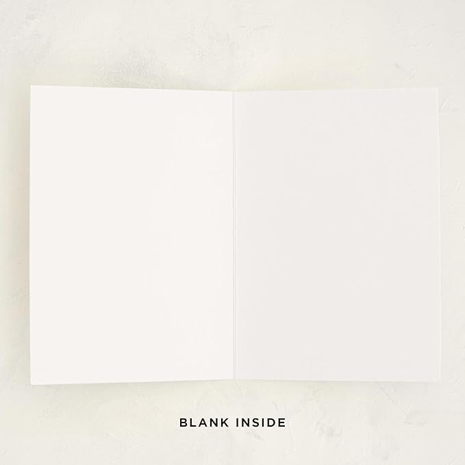 Minted Sweet December Holiday Cards, 8 Cards with Envelope Folded 5x7 Christmas Card with Candy Cane Pattern and Snowy Blue Background, Modern Minimalist Design, Luxurious Paper, Blank Inside