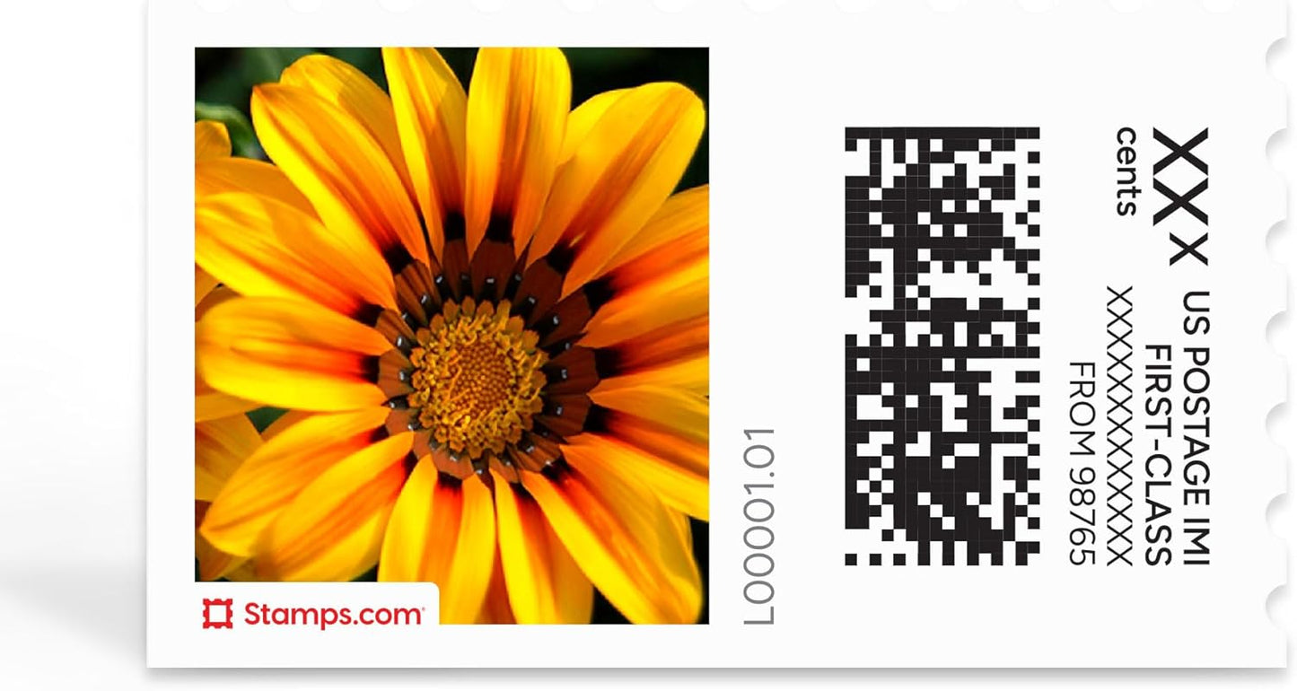 Treasure Flowers NetStamps 120-Pack (5 Sheets) Printable Postage Labels (Stamps.com Subscription Required) - Print Approved Postage - Inkjet & Laser Printers - Business, Personal, Home