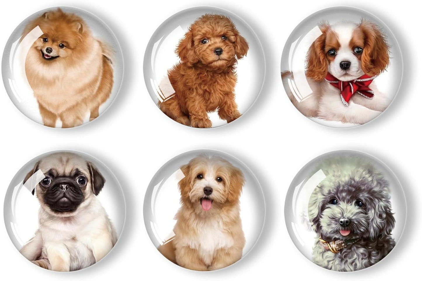 12Pcs Glass Refrigerator Magnet Fridge Sticker,Dog Fridge Magnets Decoration for Crafts,Strong Fridge Magnets for Kitchen, School,Office Whiteboard, Cabinet and Dishwasher