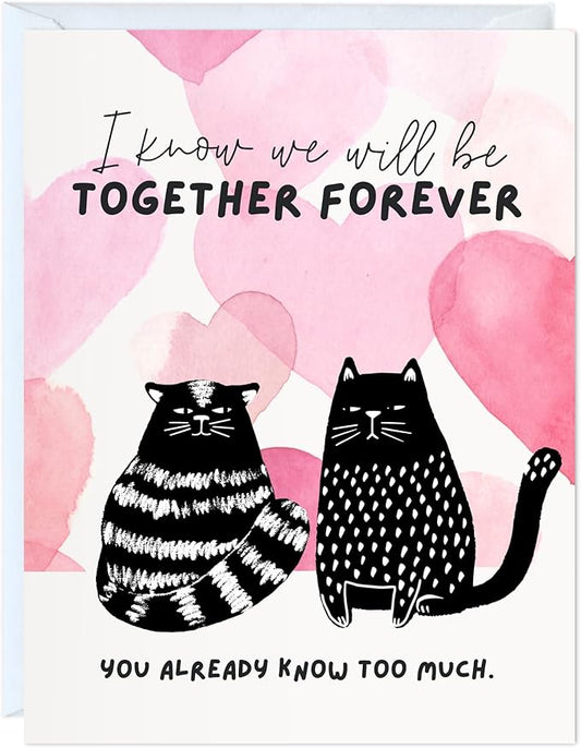 ALY LOU Funny Anniversary Card for Her Him/Husband Boyfriend/Girlfriend Wife/Sarcastic Birthday Greeting Card (I know we will be together forever. You already know too much)