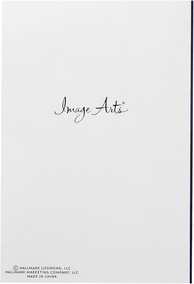 Hallmark Image Arts Religious Boxed Christmas Cards Assortment (4 Designs, 24 Christmas Cards with Envelopes)