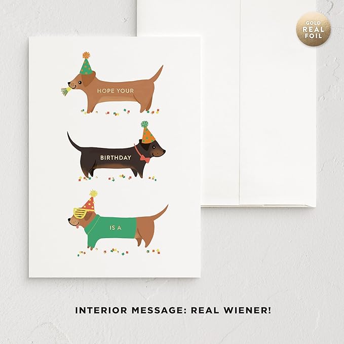 Minted Birthday Greeting Cards Pack, Birthday Cards Variety Pack, Stylish & Curated Foldable Happy Birthday Cards with Envelopes, Blank & Messages Inside, Designed by Independent Artists, Set of 5