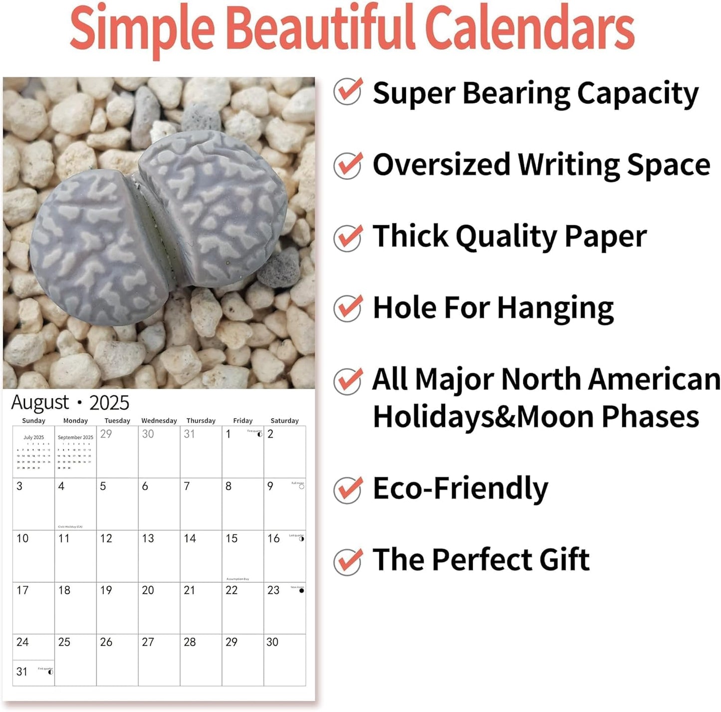 2025 Wall Calendar Funny Natures Dongs, January 2025 - December 2025, Funny Gag Gift for Adults, White Elephant Gift, 12 Months Organizer with D'ck Pics Nature Photos, 12" x 24" Opened