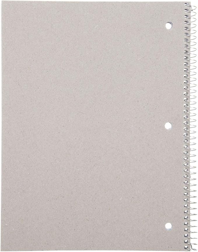 Mintra Office Spiral Notebooks - Wirebound for Student, Home, Office, Business (4x4 Graph, 4pk)