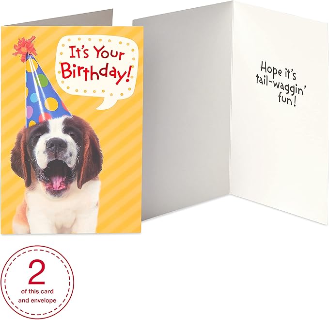 American Greetings Kids Birthday Cards Bundle (12-Count)