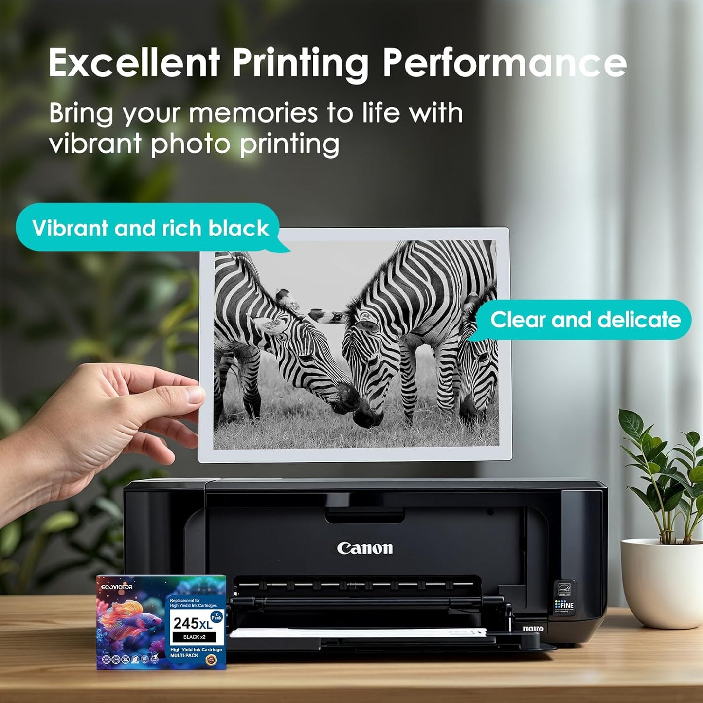 EcoVictor 245XL Black Ink Cartridge Replacement for Canon 245 XL PG-245 XL (Black 2 Pack) Compatible to Pixma MX490 MX492 MG2522 TR4520 TR4500 TS3122 TS3322 MG2520 MG2500 MG3022 TS3320 TR4522 Printer