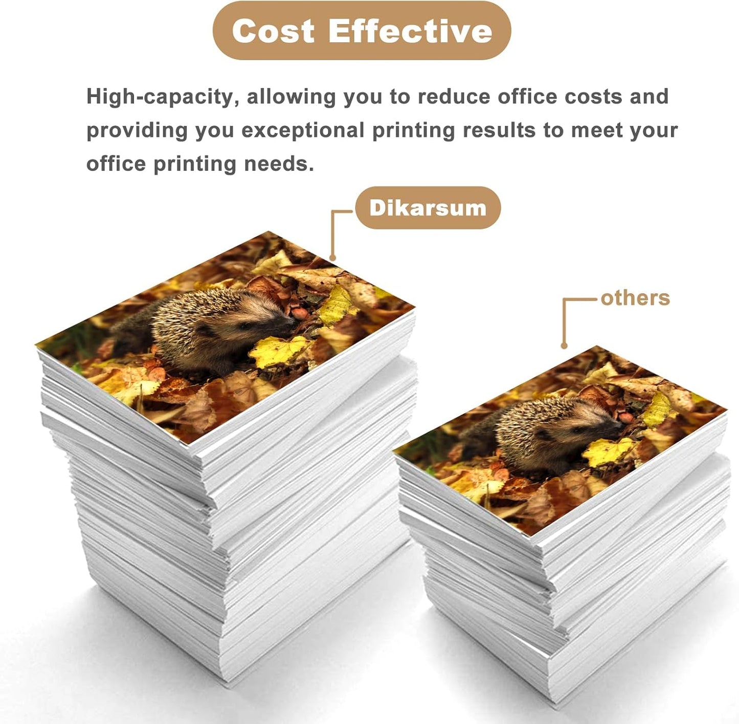 T850 Ink Cartridge Remanufactured T8501 T850100 Ink Cartridge Replacement for Surecolor P800 Printer(Photo Black)