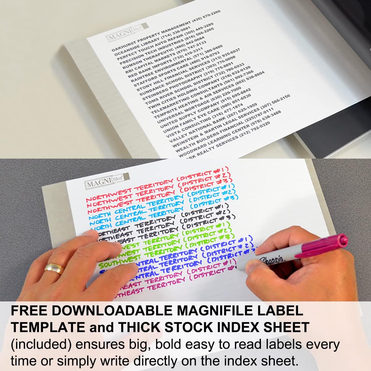 Ultimate Office MagniFile Insertable Hanging File Folder Tabs. Indexes That Double The Size of Your File Titles to Find Files Fast! (Set of 10), Assorted