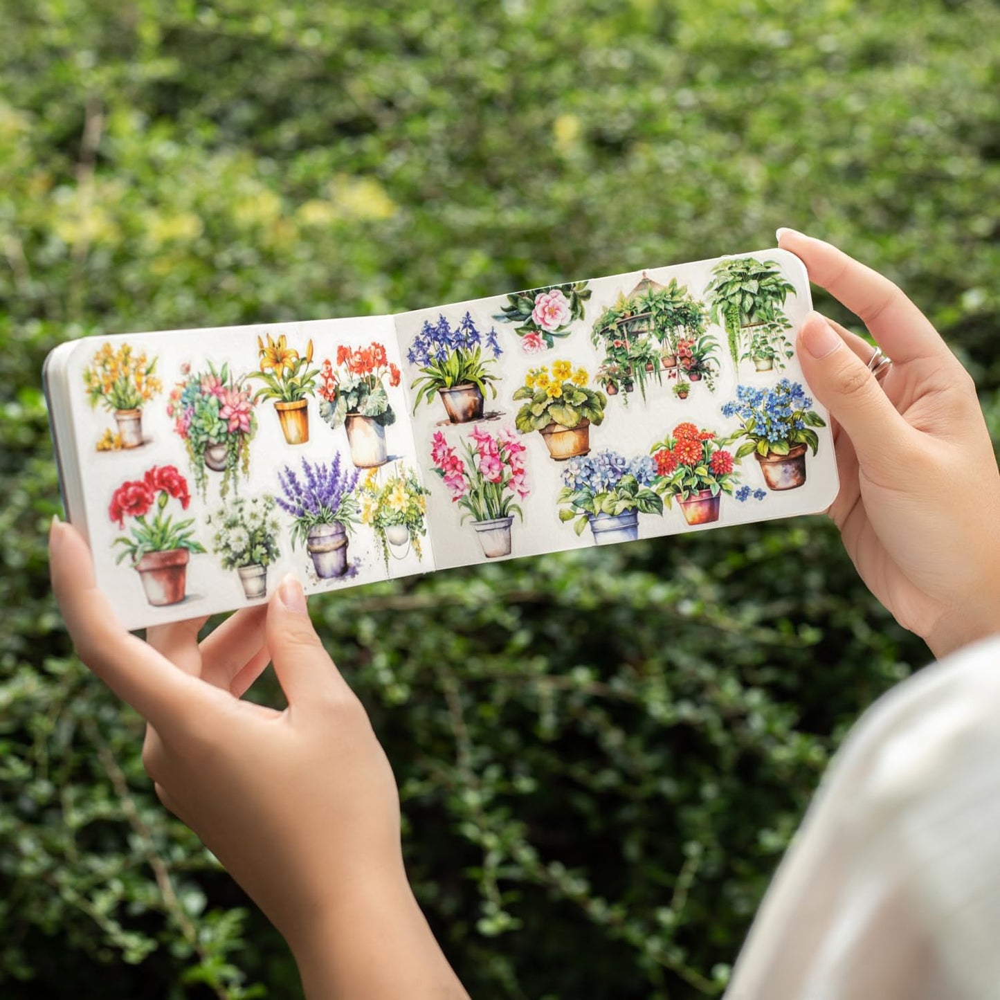 150Pcs Potted Plant Stickers, Botanical PET Stickers for Scrapbooking, DIY Crafts, Journaling, and Junk Journal Ephemera with Organizer