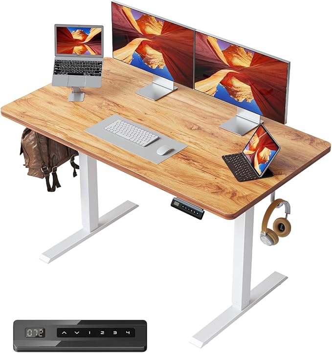 FEZIBO One-Piece Standing Desk Adjustable Height Stand up Home Office Desk, 48x24 Inch Electric Standing Computer Desk, with 4 Memory Presets, Fixable casters, Light Rustic