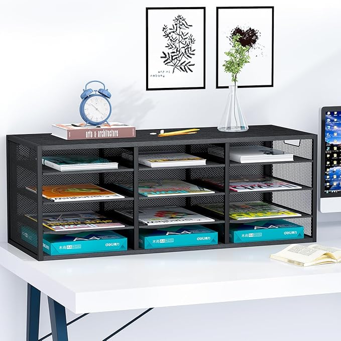 Mail Sorter Adjustable Countertop Heavy Duty Literature Organizer Student Mailbox for Classroom Desktop Bill Paper Holder Rack for Office Home School, 12 Compartments, Black