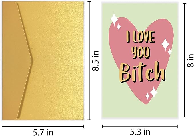 Funny Galentine's Day Card, I Love You Bitch Card, Friend Birthday Card, Love Card for Bestie, Friendship Card for Lady Girl, Valentines Card for Best Friend