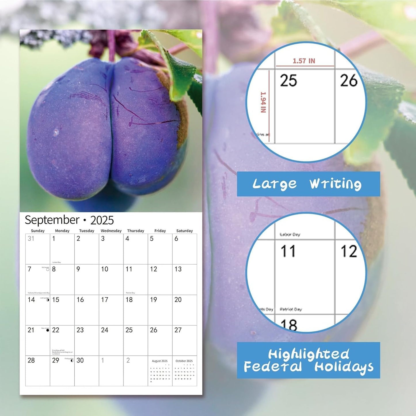 2025 Wall Calendar Funny Natures Dongs, January 2025 - December 2025, Funny Gag Gift for Adults, White Elephant Gift, 12 Months Organizer with D'ck Pics Nature Photos, 12" x 24" Opened