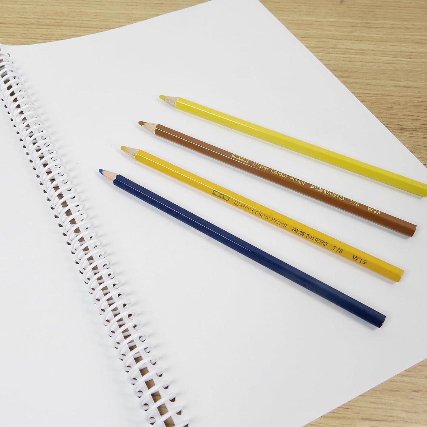 Rayson 3/8" Plastic Spiral Binding Coil, 60 Sheets Capacity, 4:1 Pitch 9.5mm White Coil Binding Spines for Business and Educational Purposes, Pack of 100