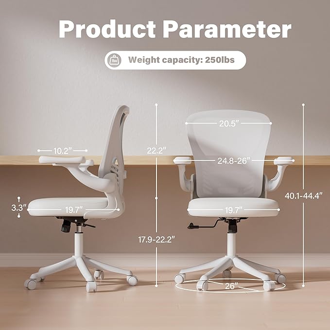 GYI Computer Desk Chair, Ergonomic Office Desk Chairs with Mesh Back, Adjustable Lumbar Support, Height, 3D Flip-up Arms, Wheels, Rocking Function (All White)