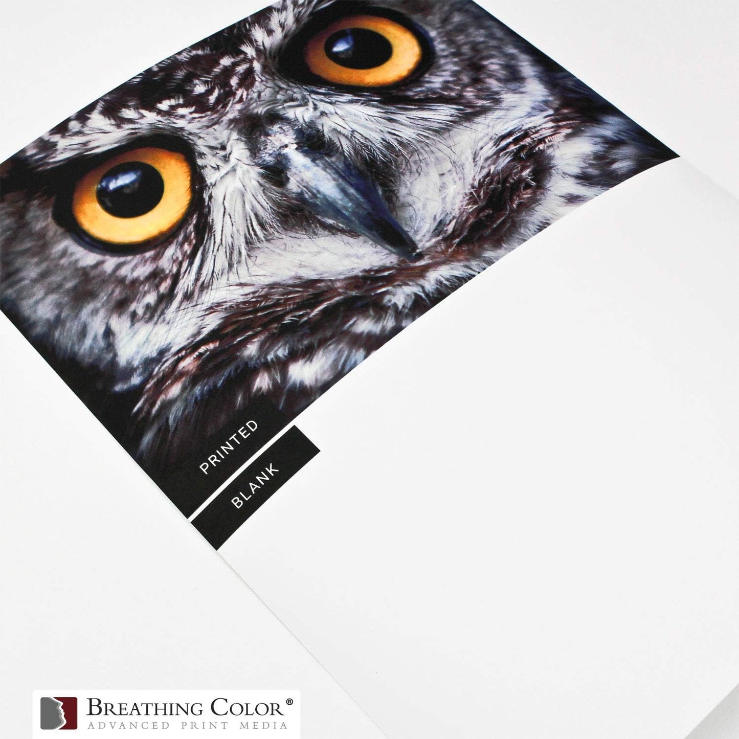 Vibrance Matte Photo Printer Paper 12 mil 230 gsm Matte Finish Premium Photo Paper Roll on 3in Core 12 inches x 100 ft Works with Most Inkjet Printer Professional Makes and Models Like Epson Canon HP