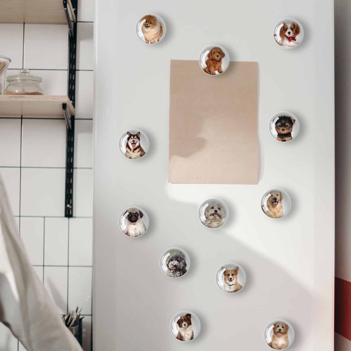 12Pcs Glass Refrigerator Magnet Fridge Sticker,Dog Fridge Magnets Decoration for Crafts,Strong Fridge Magnets for Kitchen, School,Office Whiteboard, Cabinet and Dishwasher