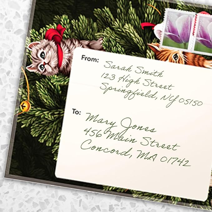 Freshcut Paper Pop Up Cards, Mini Meowy Christmas, 6 Inch Mini Sized Forever Flower Bouquet 3D Popup Greeting Cards, Christmas Card, Holiday Card, Blank Notecard & Envelope