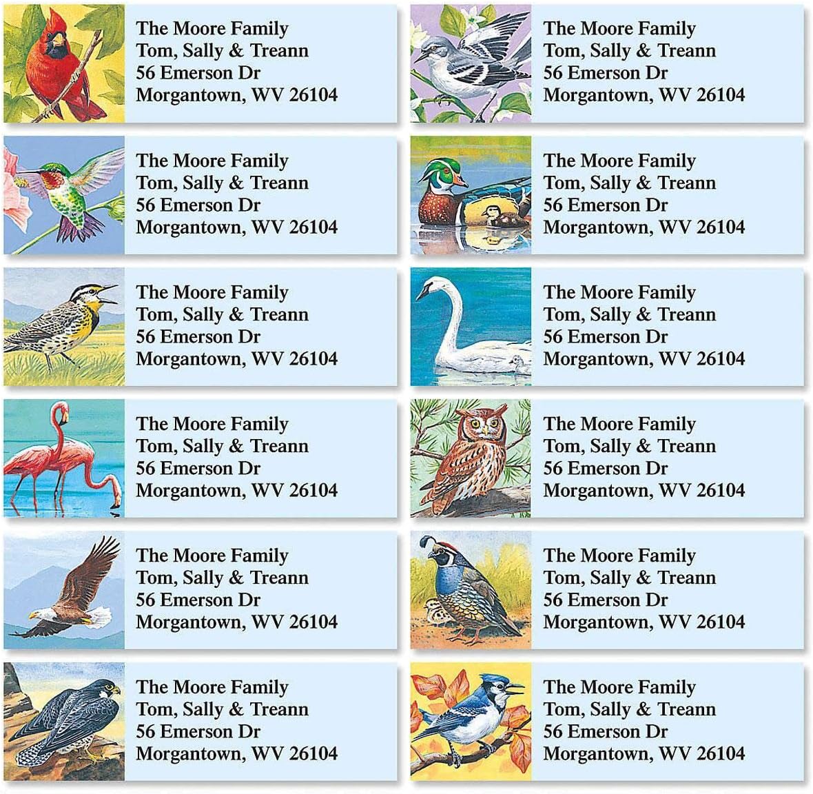 Colorful Images Birds of America Return Address Mailing Labels, Personalize with Name & Addresses, Set of 240 Self Adhesive, Easy Peel Flat Label Sheets, ⅝ inch x 2”, 12 Designs