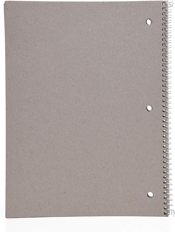 Mintra Office Spiral Notebooks - 1 Subject, 70 Sheets, College Ruled, 8in x 10in, Bulk Pack, Pastel Covers, Set of 6 - for School, Office, Business, Professional (04693)