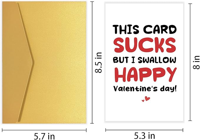 Rude Valentine's Day Card, Funny Valentines Card for Him, Naughty Valentines Day Card for Boyfriend Husband, This Card Sucks But I Swallow