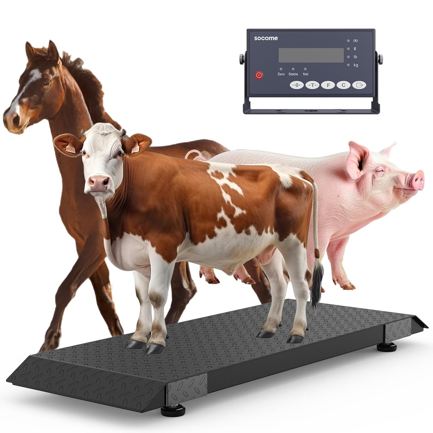 56.3"x20" Vet Animal Scale Floor Scales, Large Livestock Animal Scales with a Ramp and Digital Indicator, Heavy-Duty Farm Animal Scale for Sheep, Goat, Pigs, and Dogs, 5000 lb x 1 lb, Black