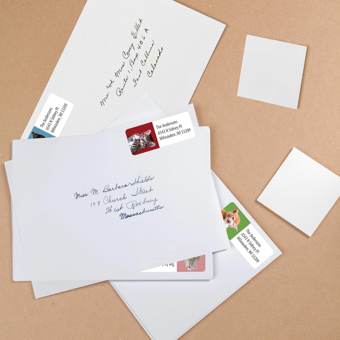 Customized Personalized Address Labels - Made in The USA by Kenco (250 Labels, Kittens)