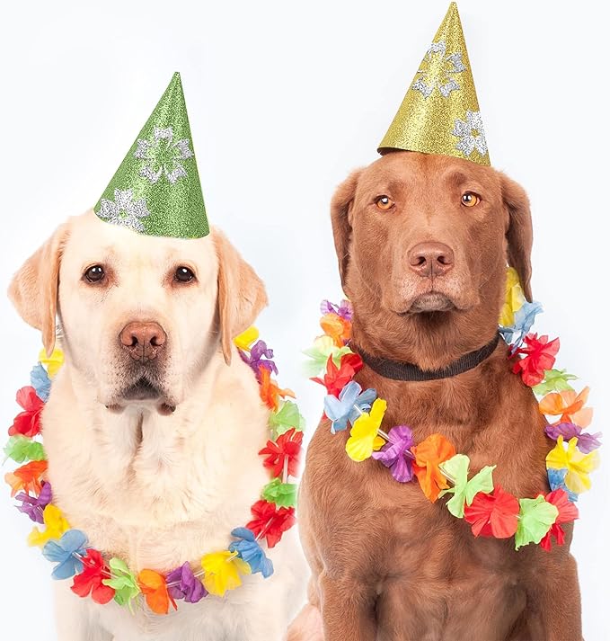 24 Sheets Green Glitter Cardstock Paper, A4 Premium Sparkly Paper for Scrapbook, DIY Projects, Party Decoration, Gift Box Wrapping 250GSM/92lb