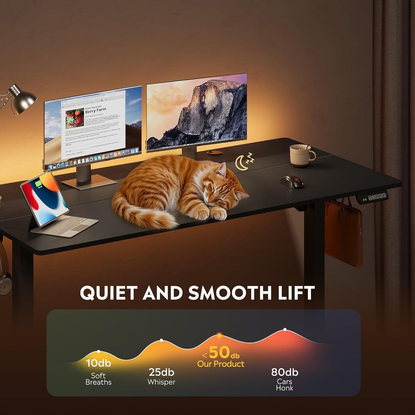 DEVAISE 55 Inch Electric Standing Desk, 3 Adjustable Height Stand up Desk for Home Office, Ergonomic Sit to Stand Desk with LED Touchscreen, Headphone Hook, 3 Memory Preset Computer Desk (Black)