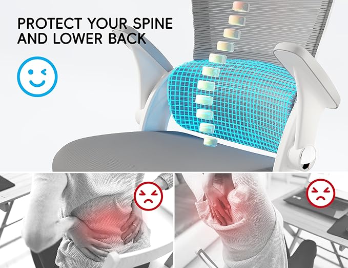 TRALT Ergonomic Office Chair - Comfy Desk Chair with Back Support, Home Office Desk Chairs, Computer Chair, 330lbs Wide Seat Big and Tall Office Chair for Executives (Grey)