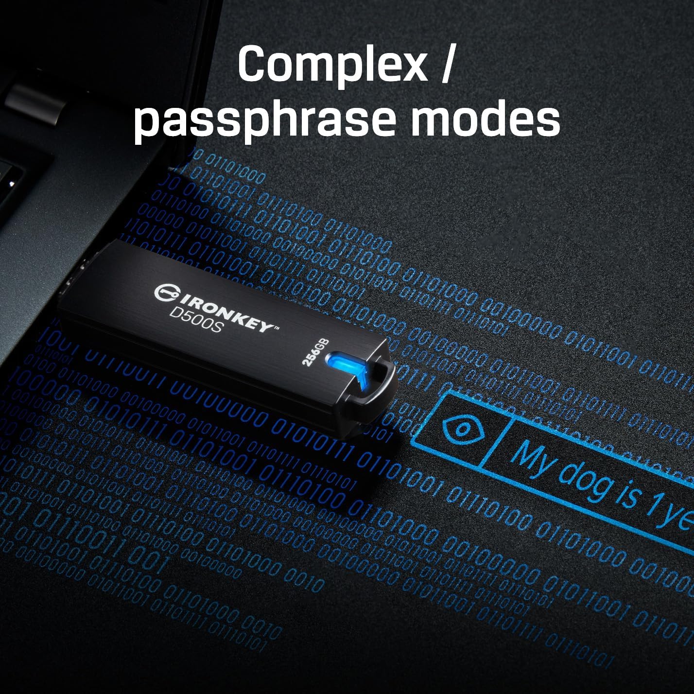 Kingston Ironkey D500S 16GB Encrypted Flash Drive | Dual Hidden Partition | FIPS 140-3 Level 3 | XTS-AES 256-bit | BadUSB and Brute Force Protection | Multi-Pin Option | IKD500S/16GB,Black