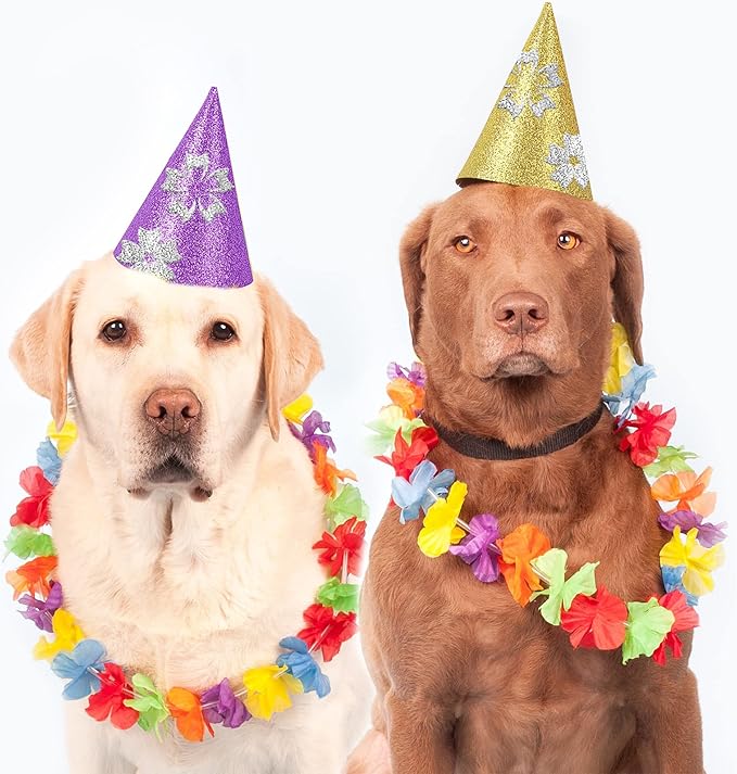 24 Sheets Purple Glitter Cardstock Paper, A4 Premium Sparkly Paper for Scrapbook, DIY Projects, Party Decoration, Gift Box Wrapping 250GSM/92lb