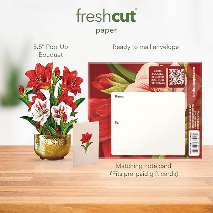 Freshcut Paper Pop Up Cards, Mini Scarlet Amaryllis, 6 Inch Mini Sized Forever Flower Bouquet 3D Popup Greeting Cards, Christmas Card, Holiday Card, Blank Notecard & Envelope