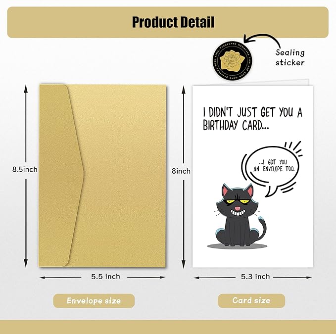 Funny Birthday Card for Him or Her, Witty Birthday Cards Gift for Partner or Friends, 'I Didn't Just Get You A Birthday Card... I Got You An Envelope Too'