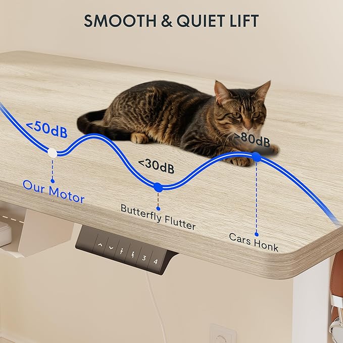 FLEXISPOT EN2 Whole-Piece Standing Desk with Clamp Power Strip, 48 x 24 Electric Stand Up Height Adjustable Desk with Cable Management (White Frame + 48" White Wood Grain Desktop)